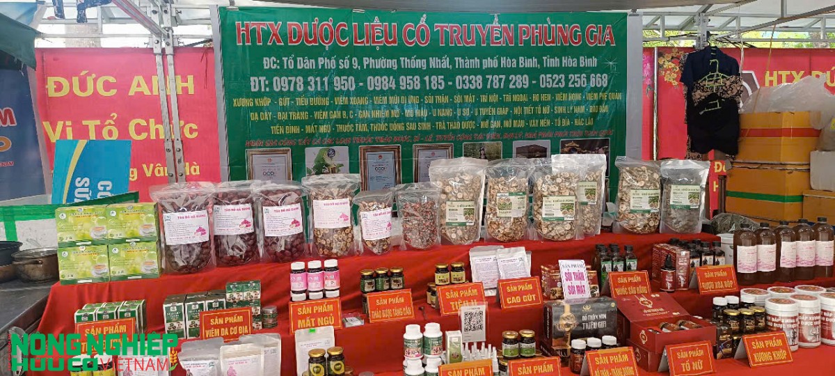 Rực rỡ các gian hàng hội chợ giới thiệu sản phẩm truyền thống và ẩm thực tại Hải Phòng