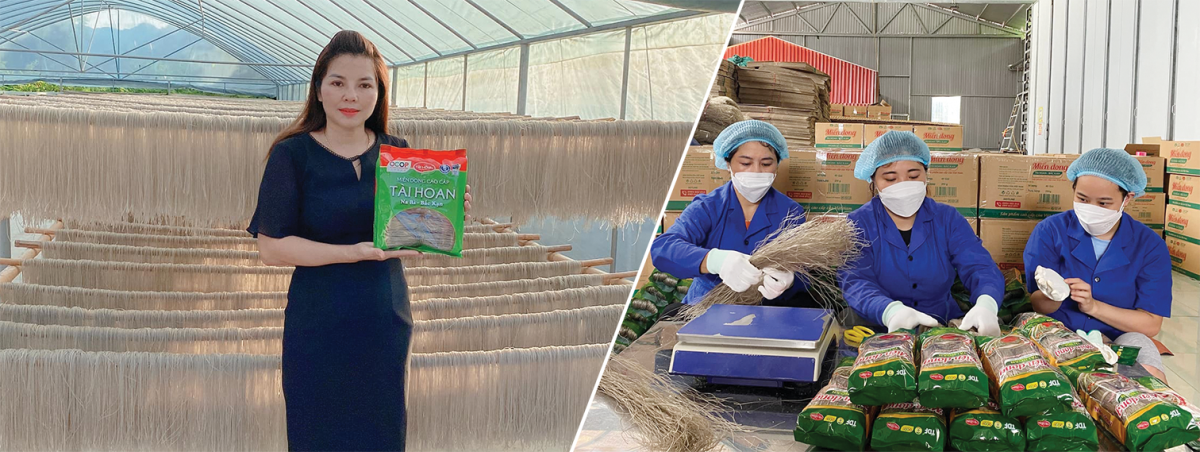 Người phụ nữ Tày đưa miến dong Việt Nam ra thế giới