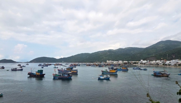 Quy hoạch cảng biển Phú Yên, lượng hàng hoá lưu thông đến 2 triệu tấn