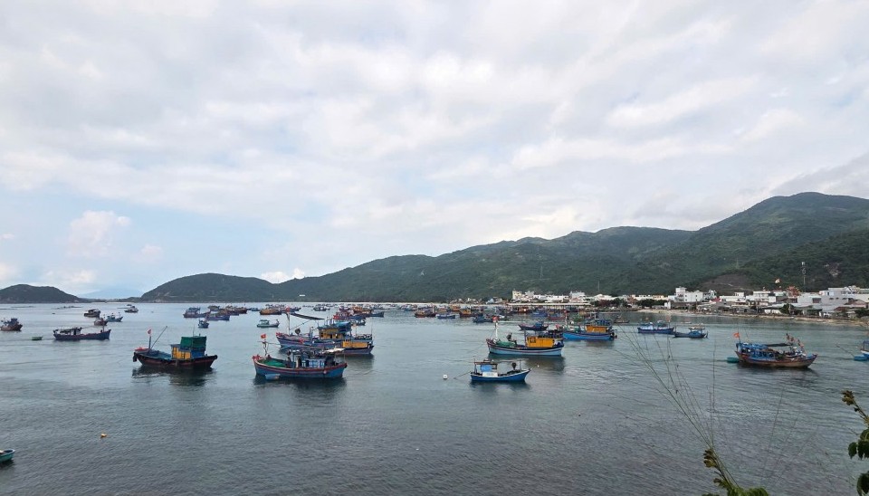 Quy hoạch cảng biển Phú Yên, lượng hàng hoá lưu thông đến 2 triệu tấn