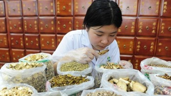 Quy định về việc đăng ký lưu hành thuốc cổ truyền, vị thuốc cổ truyền, dược liệu