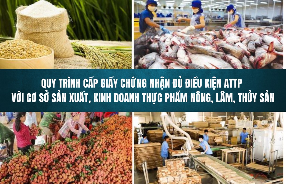 Quy trình cấp giấy chứng nhận đủ điều kiện ATTP với cơ sở sản xuất, kinh doanh thực phẩm nông, lâm, thủy sản