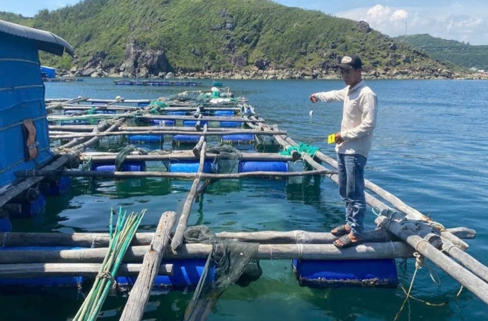 Đắk Lắk: Khởi tố nhóm người làm thuê trộm tôm hùm hơn 300 triệu đồng của chủ