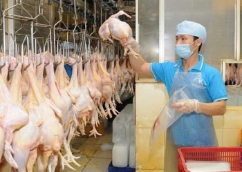 Đồng Nai xử phạt công ty hoạt động giết mổ gia súc, gia cầm không có giấy phép môi trường