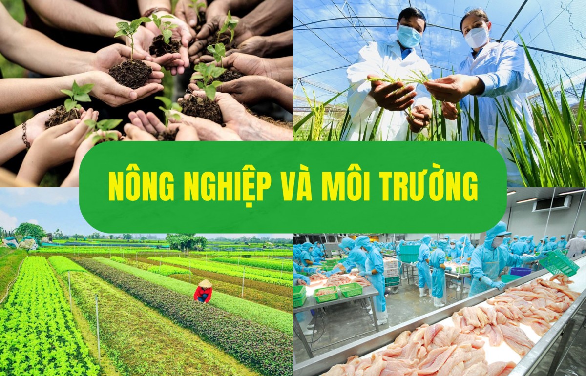 Ngành Nông nghiệp và Môi trường duy trì đà tăng trưởng