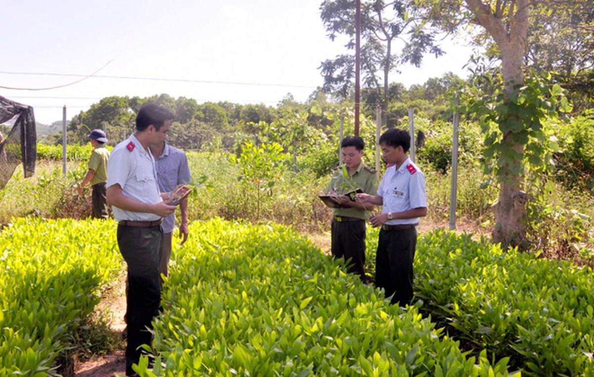 Ảnh minh họa.
