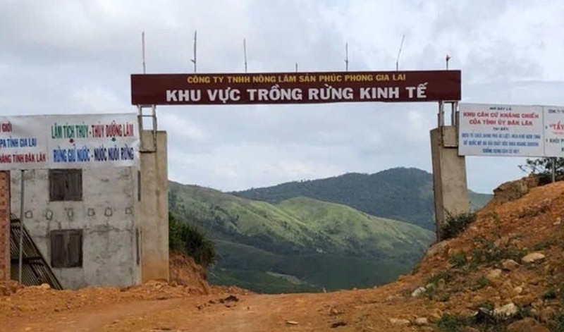 Gia Lai: Xét xử phúc thẩm vụ hủy hoại rừng tại Ban Quản lý rừng phòng hộ Nam Sông Ba