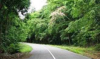 Đồng Nai: Rà soát kỹ lưỡng Quy hoạch lâm nghiệp, đảm bảo tính chính xác phân vùng rừng