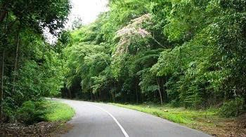 Đồng Nai: Rà soát kỹ lưỡng Quy hoạch lâm nghiệp, đảm bảo tính chính xác phân vùng rừng