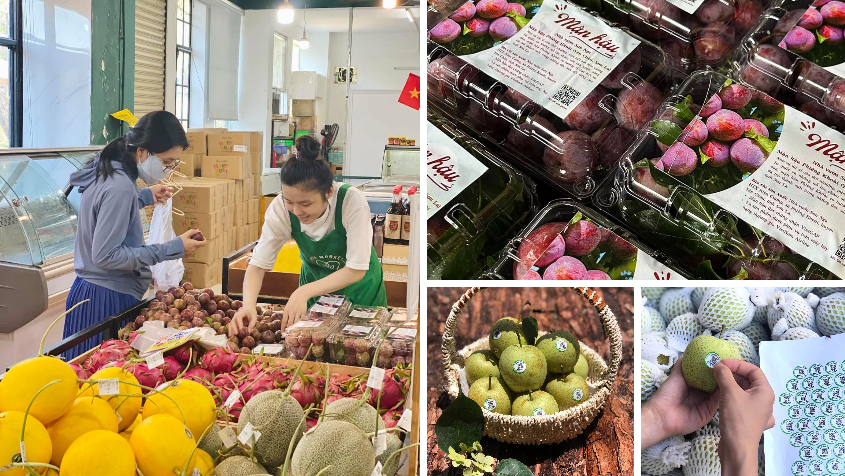 Phép cộng bền vững cho nông nghiệp miền núi - Bài 1: Khởi đầu từ những cộng đồng tử tế