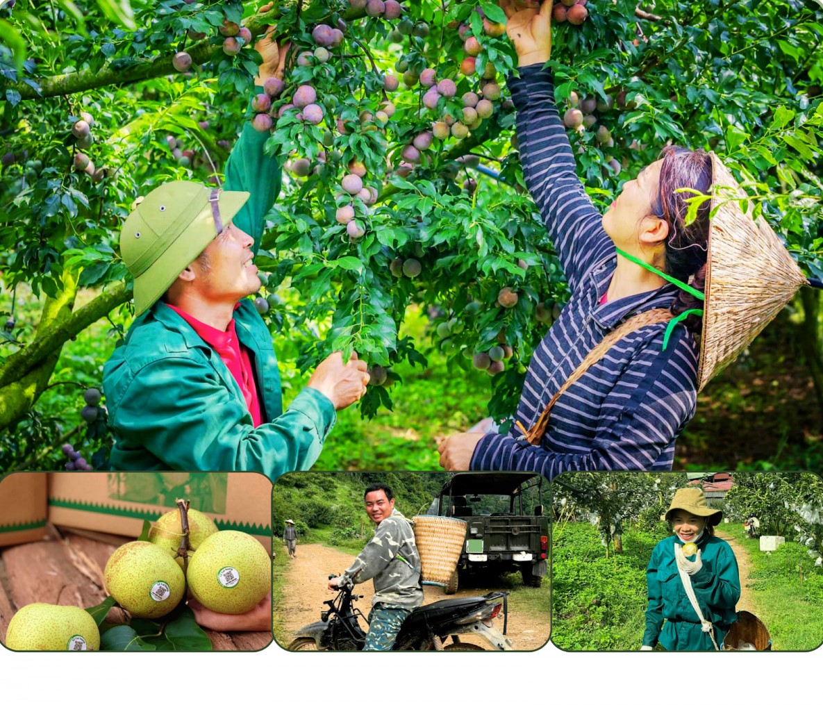 Phép cộng bền vững cho nông nghiệp miền núi - Bài 1: Khởi đầu từ những cộng đồng tử tế