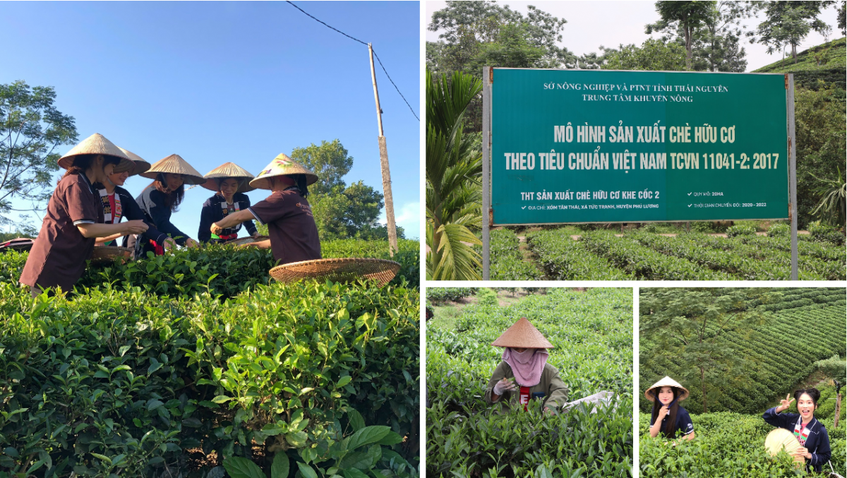 Phép cộng bền vững cho nông nghiệp miền núi - Bài 1: Khởi đầu từ những cộng đồng tử tế