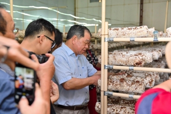 Phép cộng bền vững cho nông nghiệp miền núi - Bài 2: Duy trì chất lượng đường dài