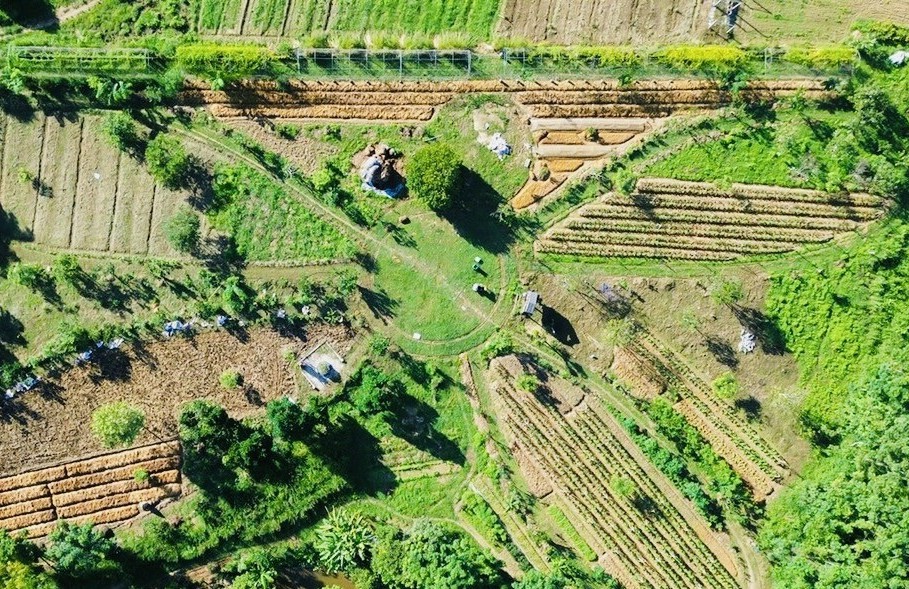 Những “hạt mầm” doanh nhân nông thôn vươn lên từ gian khó