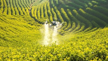 Nguồn nước và sức khỏe con người khi dùng thuốc trừ sâu hóa học