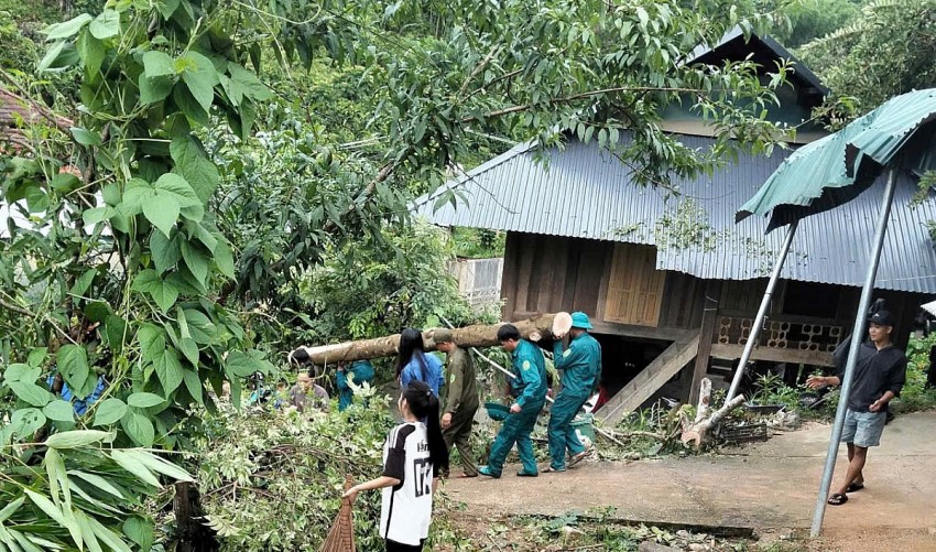 Thanh Hóa: Cấm biển từ 8 giờ sáng 21/07 để tránh bão Wipha