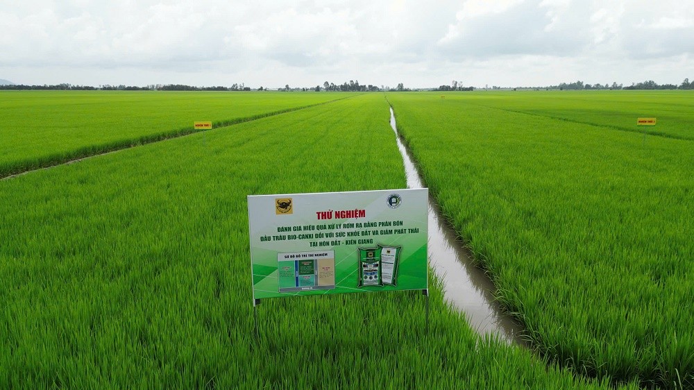 Hành trình đưa vi sinh vật vào phân bón Đầu Trâu Bio-Canxi