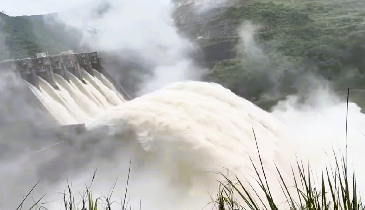 Giám đốc Sở NN&MT Nghệ An: “Hỗ trợ trồng rừng mới sau bão cho người dân”