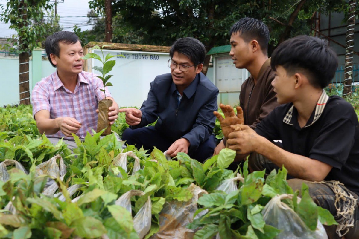 Tu Mơ Rông: Đại hội Đảng không nhận hoa chúc mừng, kêu gọi ủng hộ phát triển cây trồng bền vững