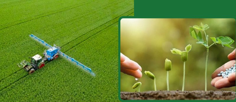 Nông nghiệp hữu cơ qua thời 
