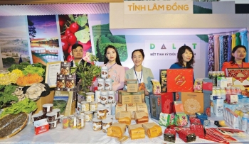 Lâm Đồng đẩy mạnh tiêu thụ nông sản cho đồng bào dân tộc và miền núi
