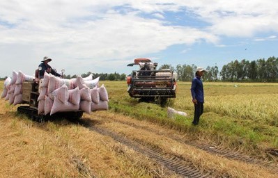 Cách mạng xanh trong nông nghiệp: Bắt đầu từ nhận thức và sự thay đổi tư duy