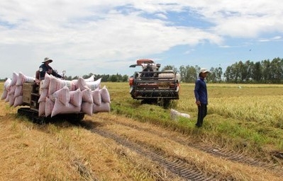Cách mạng xanh trong nông nghiệp: Bắt đầu từ nhận thức và sự thay đổi tư duy