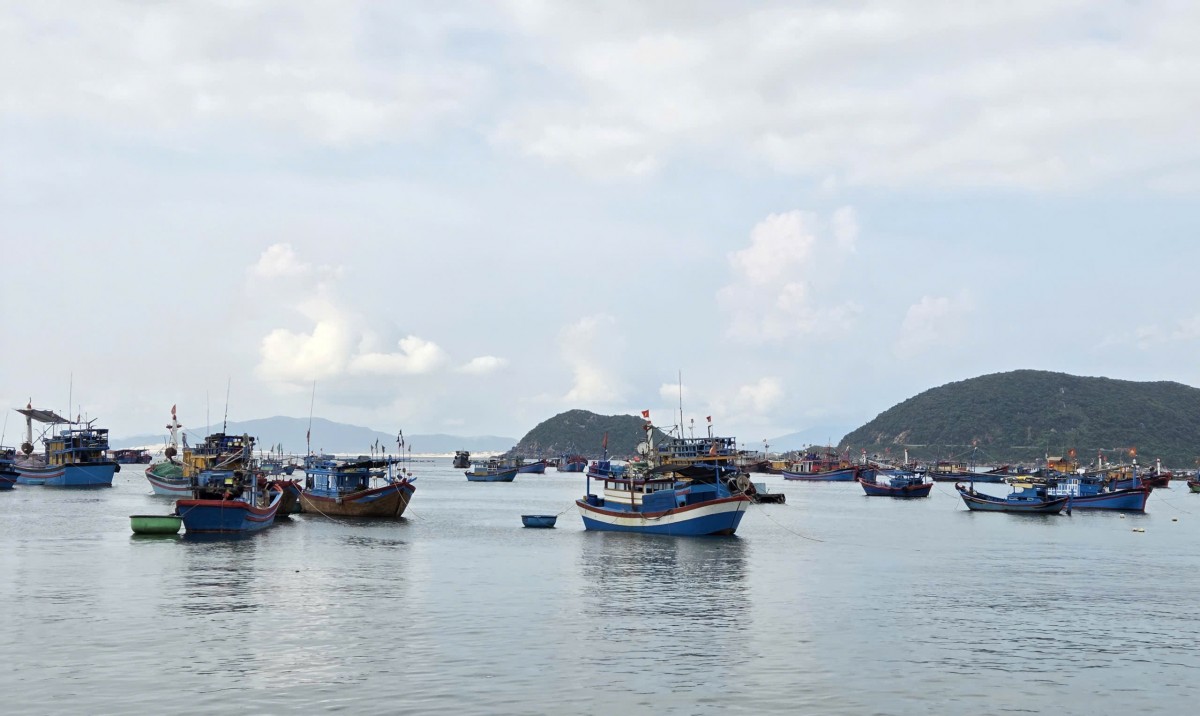 Gia Lai tăng cường bảo đảm an toàn đối với hoạt động vận tải đường thuỷ