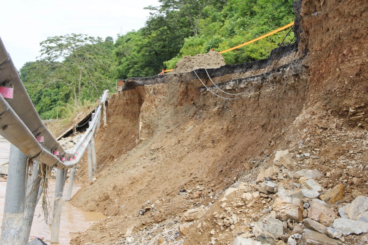 Giám đốc Sở NN&MT Nghệ An: “Hỗ trợ trồng rừng mới sau bão cho người dân”