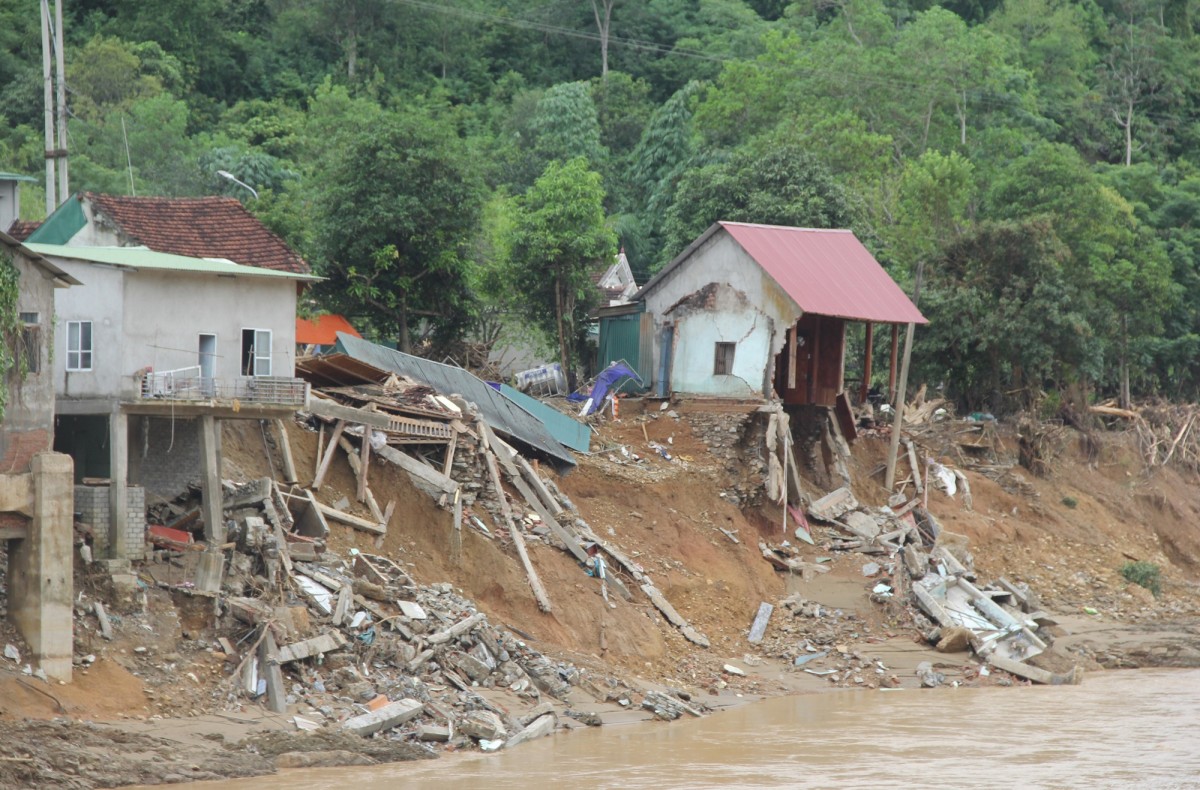 Giám đốc Sở NN&MT Nghệ An: “Hỗ trợ trồng rừng mới sau bão cho người dân”