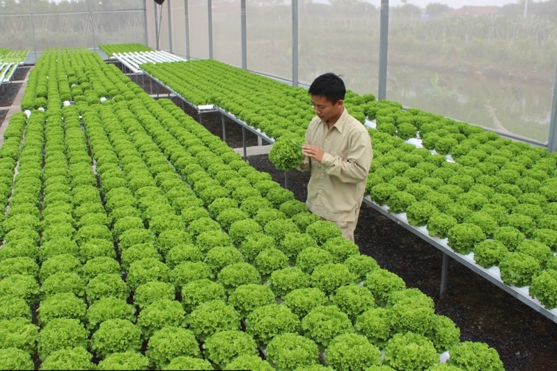 Lý giải bản chất của Nông nghiệp công nghệ cao