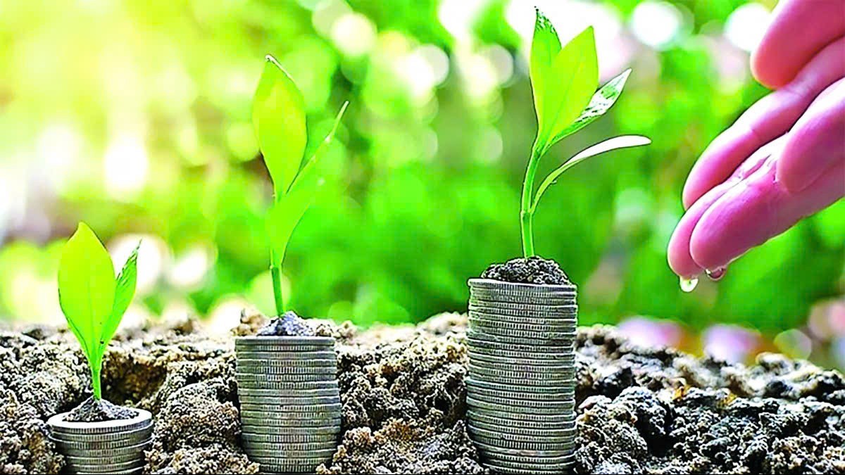 Tín dụng xanh “thắp lửa” cho nông nghiệp hữu cơ