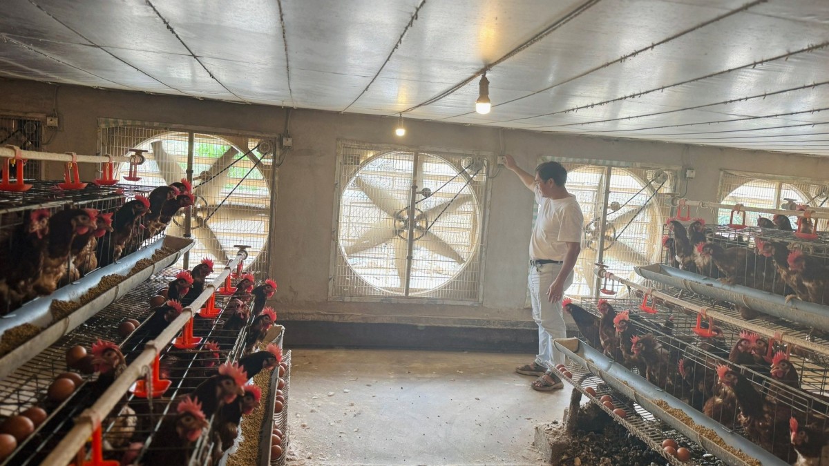 Hà Tĩnh: Trồng rau, nuôi gà thời đại công nghệ số