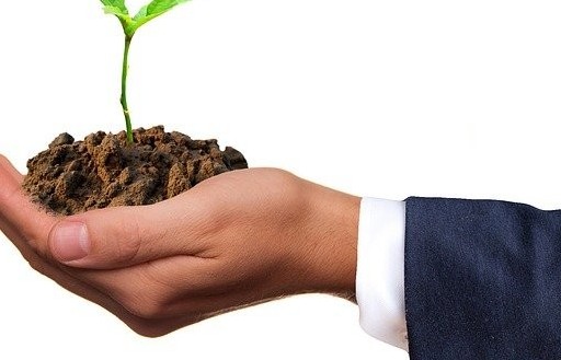 Khởi nghiệp từ nông nghiệp: Tiềm năng và thách thức