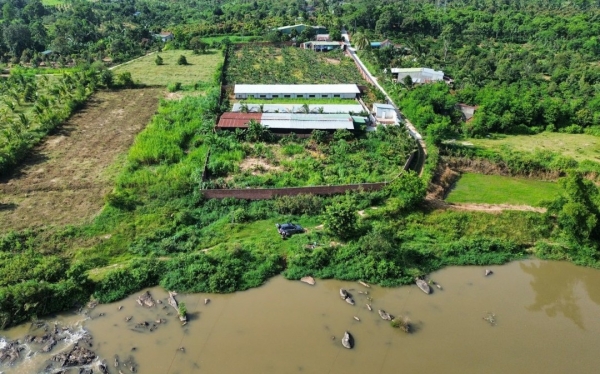 Gia Lai: Thận trọng với "cơn sốt" trại heo và nguy cơ ô nhiễm môi trường