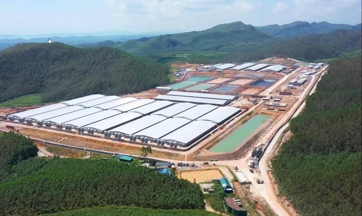 Quảng Ninh: Doanh nghiệp đầu tư vào chăn nuôi lợn trên địa bàn tỉnh
