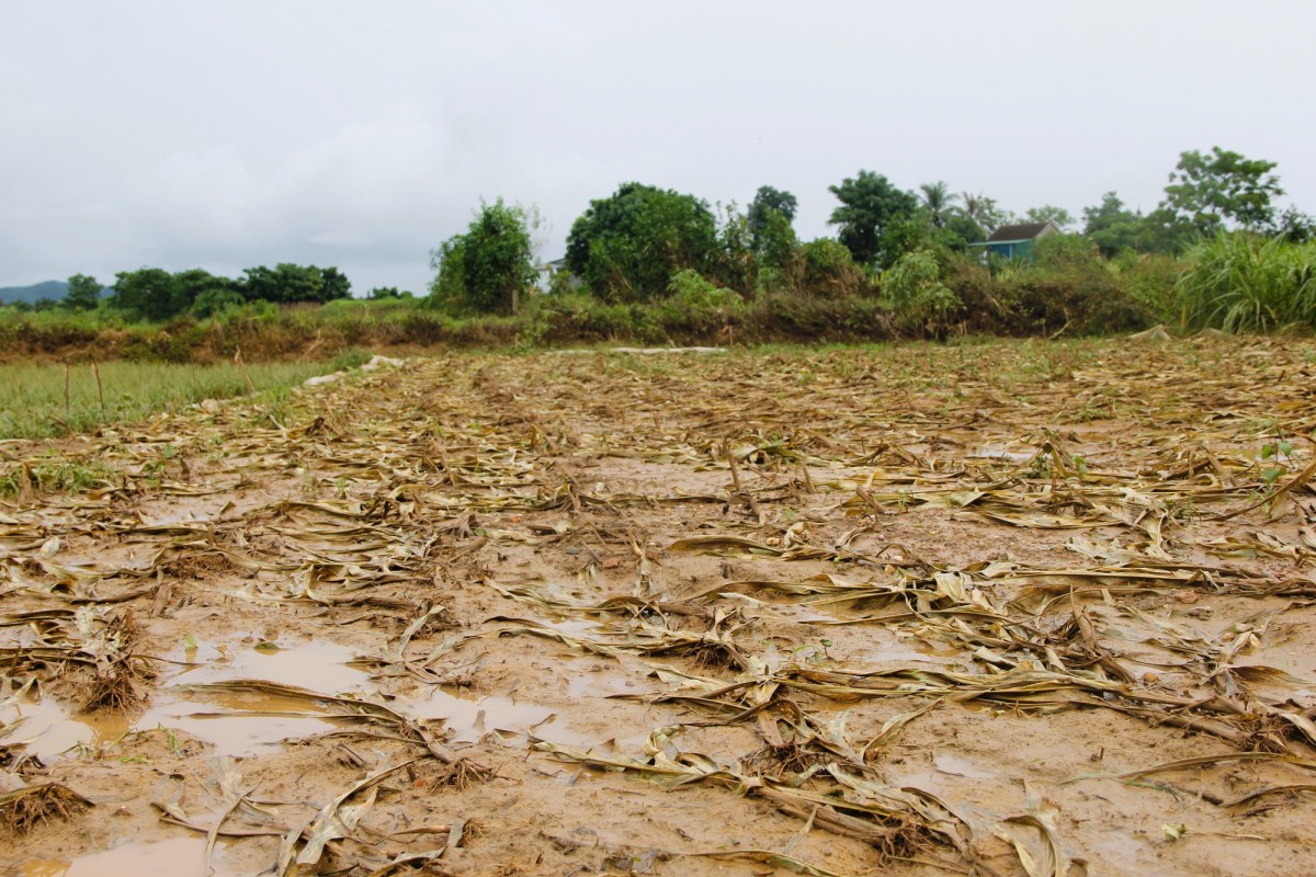 Nghệ An chủ động phòng tránh, ứng phó kịp thời, không để bị động bất ngờ với thiên tai
