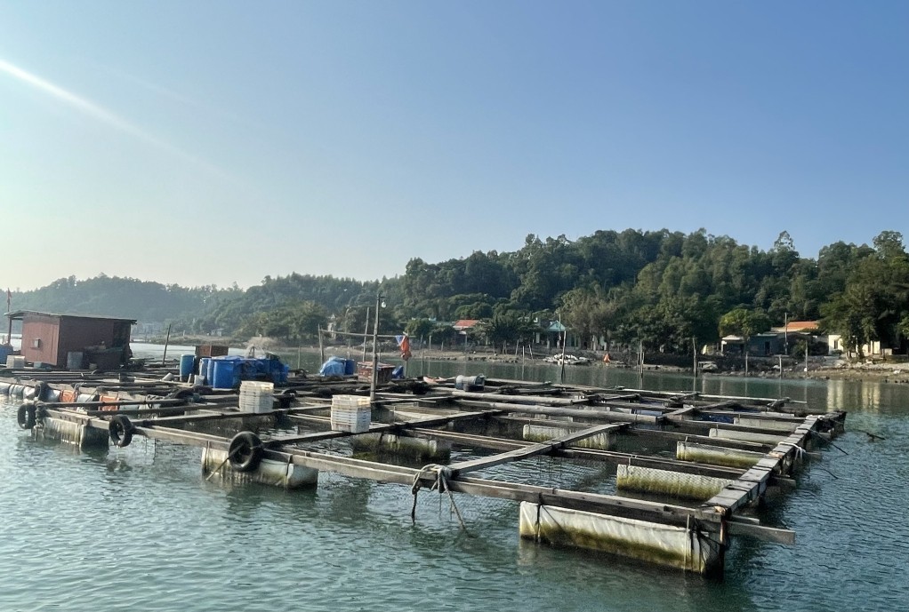 Đặc khu Vân Đồn: Vùng biển trọng điểm về nuôi trồng thủy sản