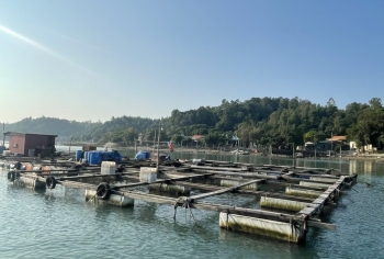 Đặc khu Vân Đồn: Vùng biển trọng điểm về nuôi trồng thủy sản