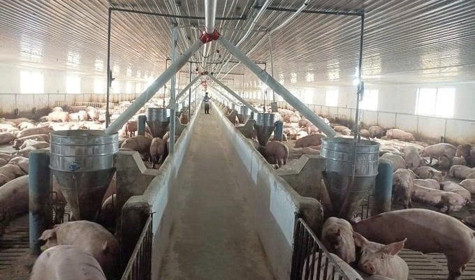 Gia Lai: Tăng cường quản lý chất thải trong hoạt động nông nghiệp