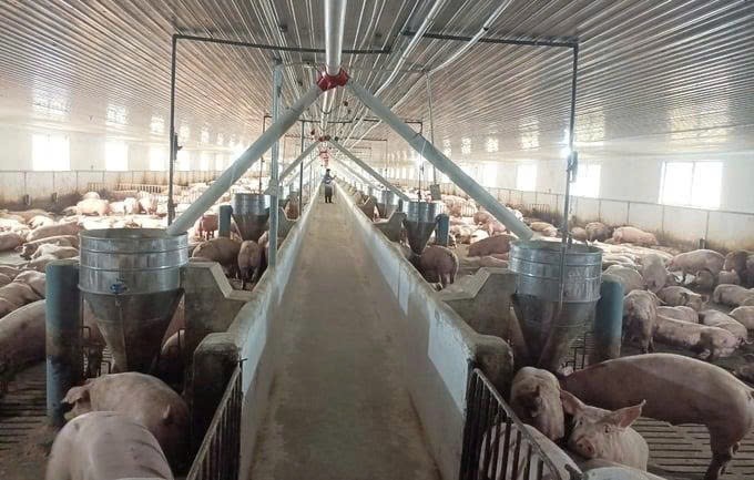 Gia Lai: Tăng cường quản lý chất thải trong hoạt động nông nghiệp