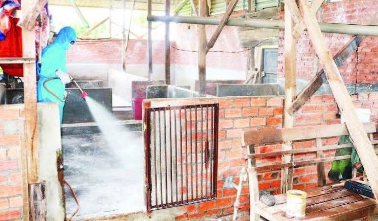 Đắk Lắk quyết liệt ngăn chặn dịch tả lợn Châu Phi tái bùng phát