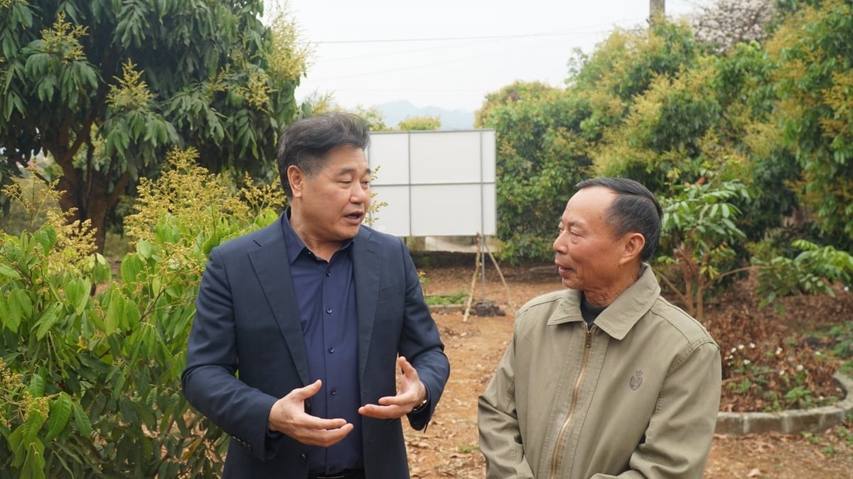 Ông Lê Quốc Thanh, Giám đốc Trung tâm Khuyến nông Quốc gia (bên trái) động viên người dân thực hiện tốt quy trình kỹ thuật sản xuất nhãn.