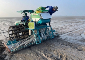 Lợi ích của phân bón cải tạo đất