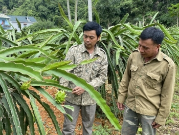 Cao Bằng: 7 tháng đầu năm kết nạp 619 hội viên nông dân