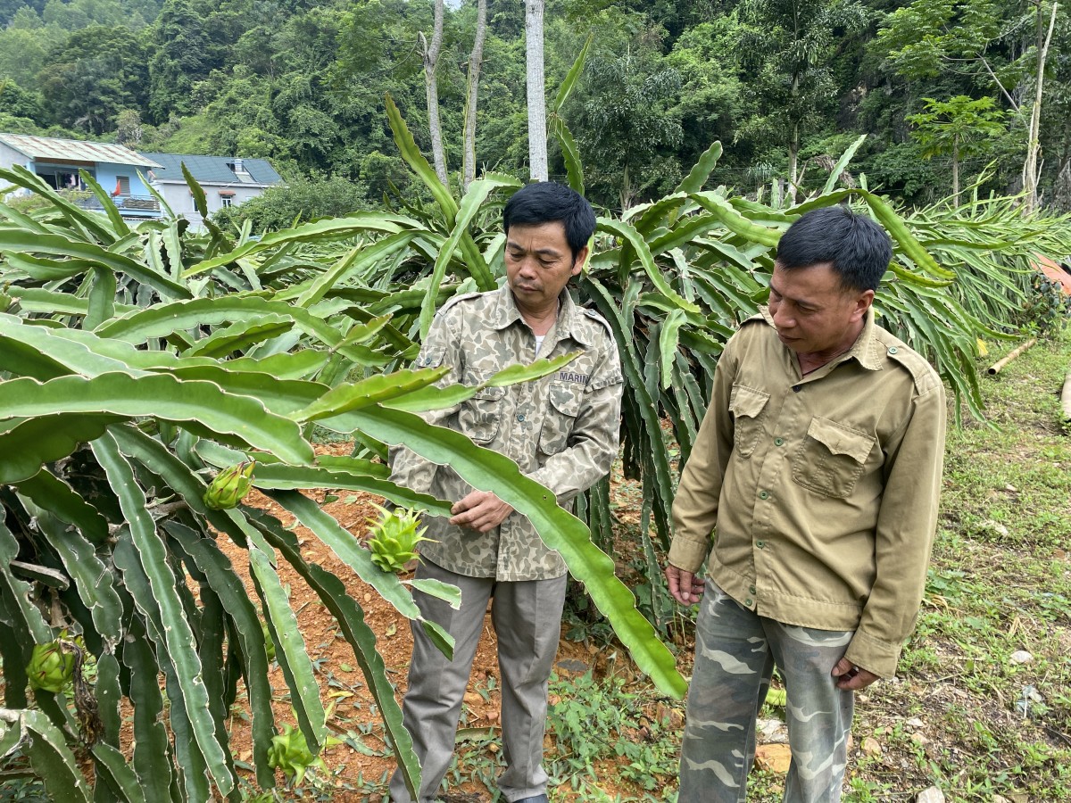 Cao Bằng: 7 tháng đầu năm kết nạp 619 hội viên nông dân
