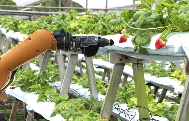 Chìa khóa thúc đẩy Nông nghiệp hữu cơ: Nghiên cứu, đào tạo và tư vấn chuyển giao khoa học công nghệ