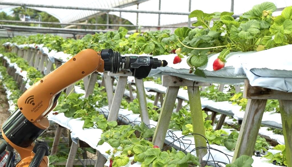 Chìa khóa thúc đẩy Nông nghiệp hữu cơ: Nghiên cứu, đào tạo và tư vấn chuyển giao khoa học công nghệ