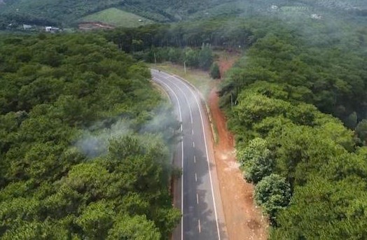Lâm Đồng: Vận động, xử lý các vi phạm về lâm nghiệp, đất đai tại xã Trường Xuân