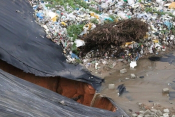 Vỡ bờ bao ô chứa rác ở Quảng Ngãi: Hàng tấn cá chết, người dân thiệt hại tiền tỉ